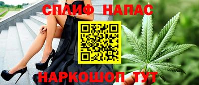 стаф Кунгур