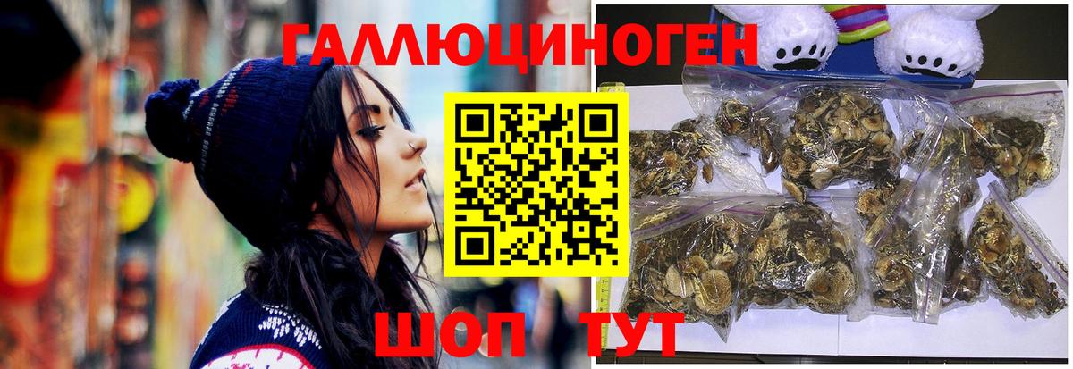 Псилоцибиновые грибы ЛСД Вышний Волочёк