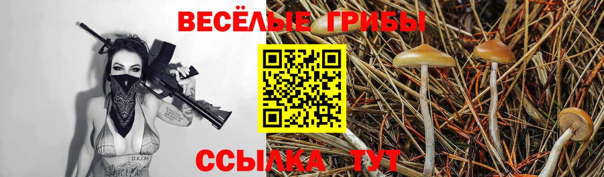 Вышний Волочёк  Галлюциногенные грибы мицелий  Вход с VPN  Псилоцибиновые грибы прущие грибы 